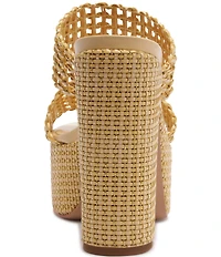 Schutz Aberdeen Woven Platform Block Heel Slide Sandals