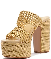 Schutz Aberdeen Woven Platform Block Heel Slide Sandals
