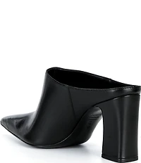 Schutz Eleanor Leather Pointed Toe Block Heel Mules