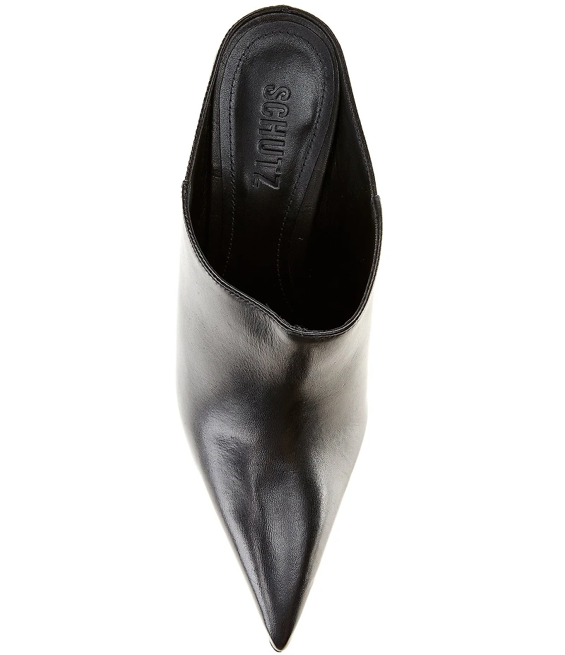 Schutz Eleanor Leather Pointed Toe Block Heel Mules