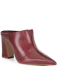 Schutz Eleanor Leather Pointed Toe Block Heel Mules