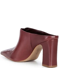 Schutz Eleanor Leather Pointed Toe Block Heel Mules