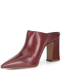Schutz Eleanor Leather Pointed Toe Block Heel Mules