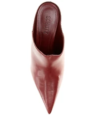 Schutz Eleanor Leather Pointed Toe Block Heel Mules