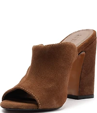 Schutz Esme Suede Block Heel Dress Slide Sandals