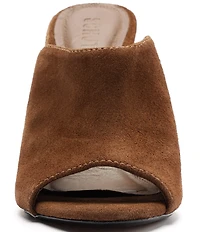 Schutz Esme Suede Block Heel Dress Slide Sandals