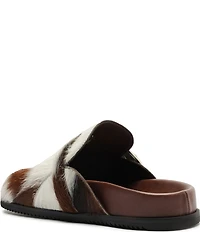 Schutz Grace Cow Print Hair Calf Western Buckle Hardware Clogs
