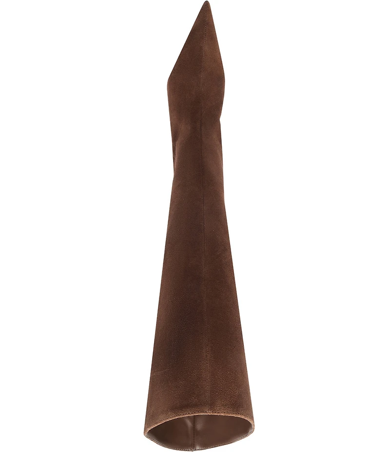 Schutz Lexi Suede Pointed Toe Tall Boots