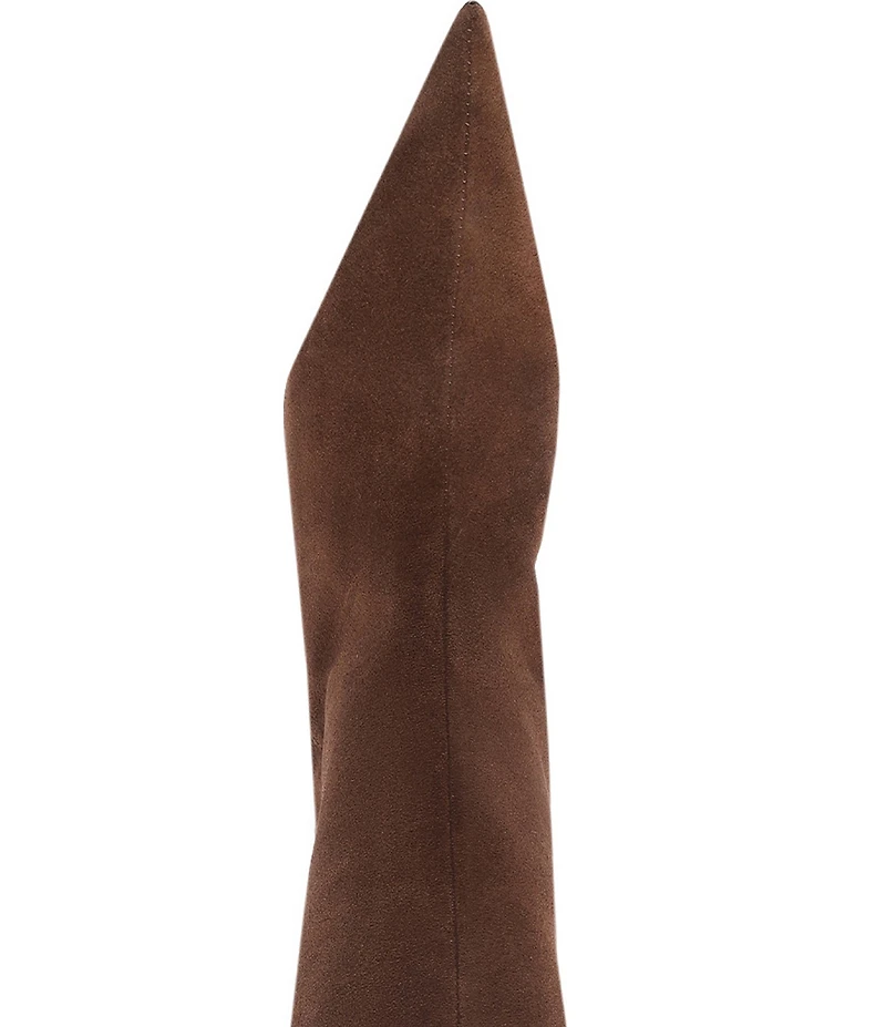 Schutz Lexi Suede Pointed Toe Tall Boots