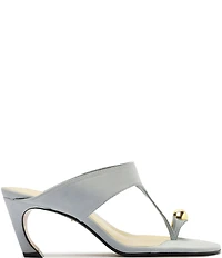 Schutz Maisie Nubuck Suede Toe Ring Hardware Dress Sandals