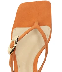 Schutz Miriam Nubuck Suede Thong Dress Sandals