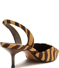 Schutz Paola Zebra Print Calf Hair Mid Heel Slingback Pumps