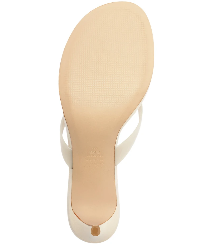 Schutz Roslyn Jelly Thong Dress Slide Dress Sandals