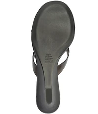 Schutz Roslyn Jelly Thong Wedge Slide Sandals