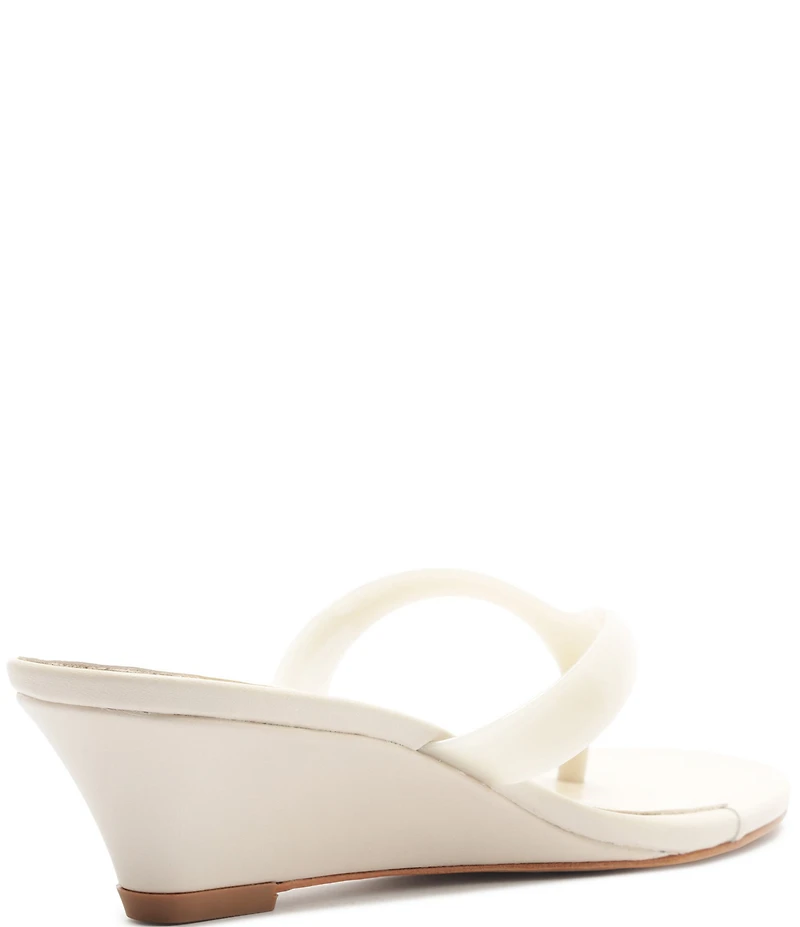 Schutz Roslyn Jelly Thong Wedge Slide Sandals