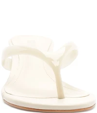 Schutz Roslyn Jelly Thong Wedge Slide Sandals