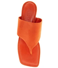 Schutz Sage Mid Stiletto Suede Thong Slide Sandals