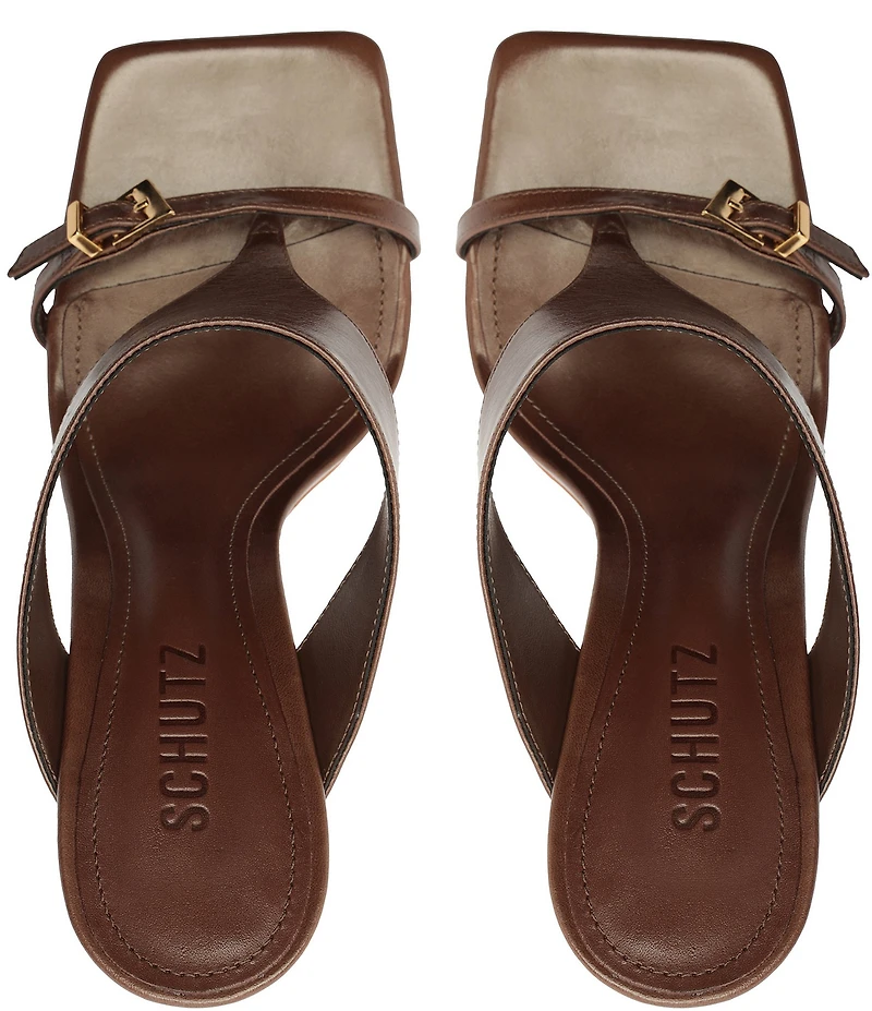 Schutz Tana Leather Stiletto High Heel Dress Sandals