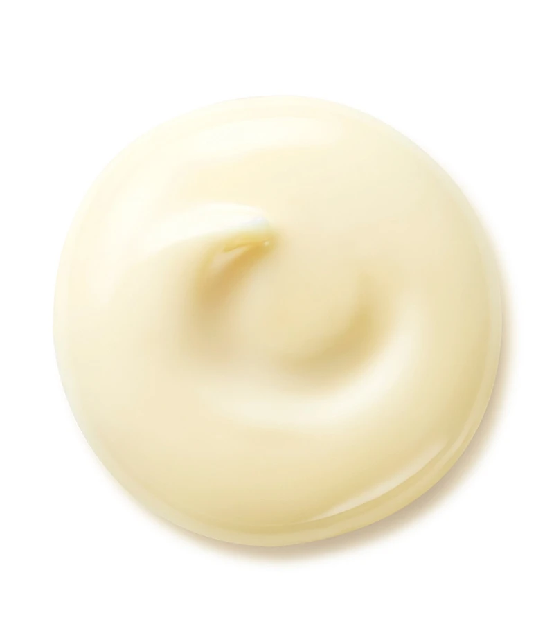 Shiseido Benefiance Wrinkle Smoothing Day Cream SPF 23