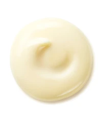 Shiseido Benefiance Wrinkle Smoothing Day Cream SPF 23