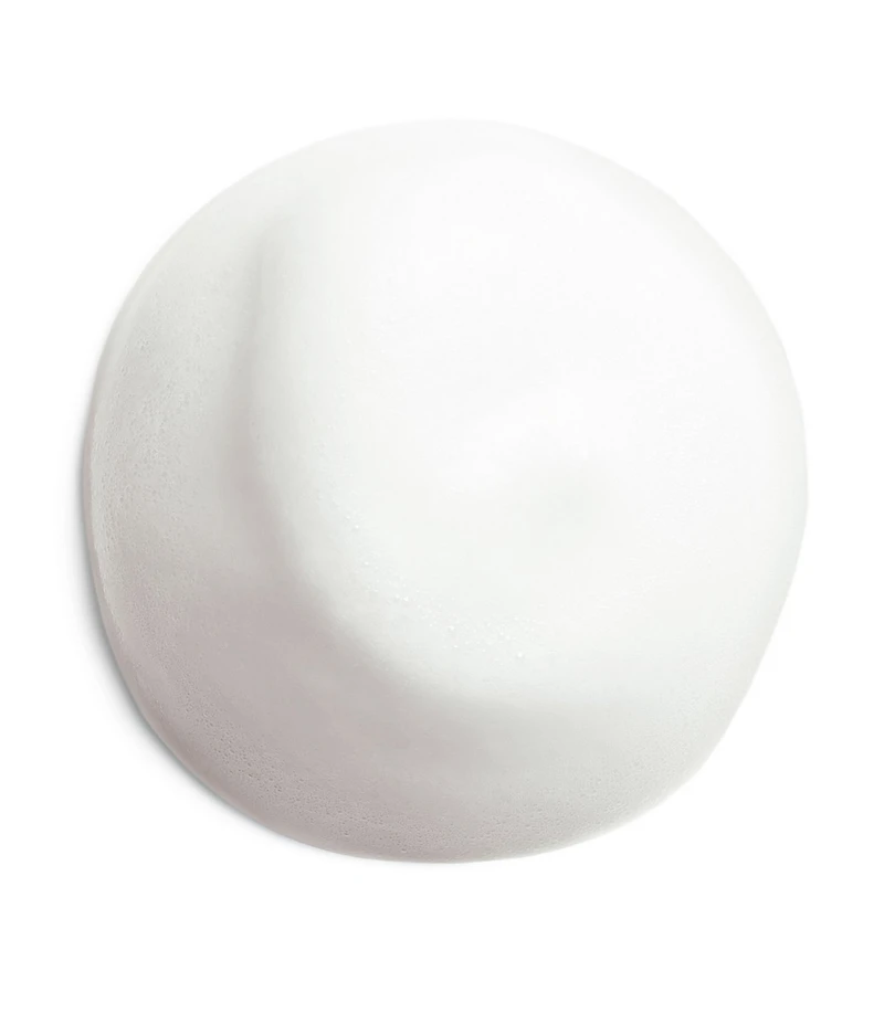 Shiseido Complete Cleansing Microfoam