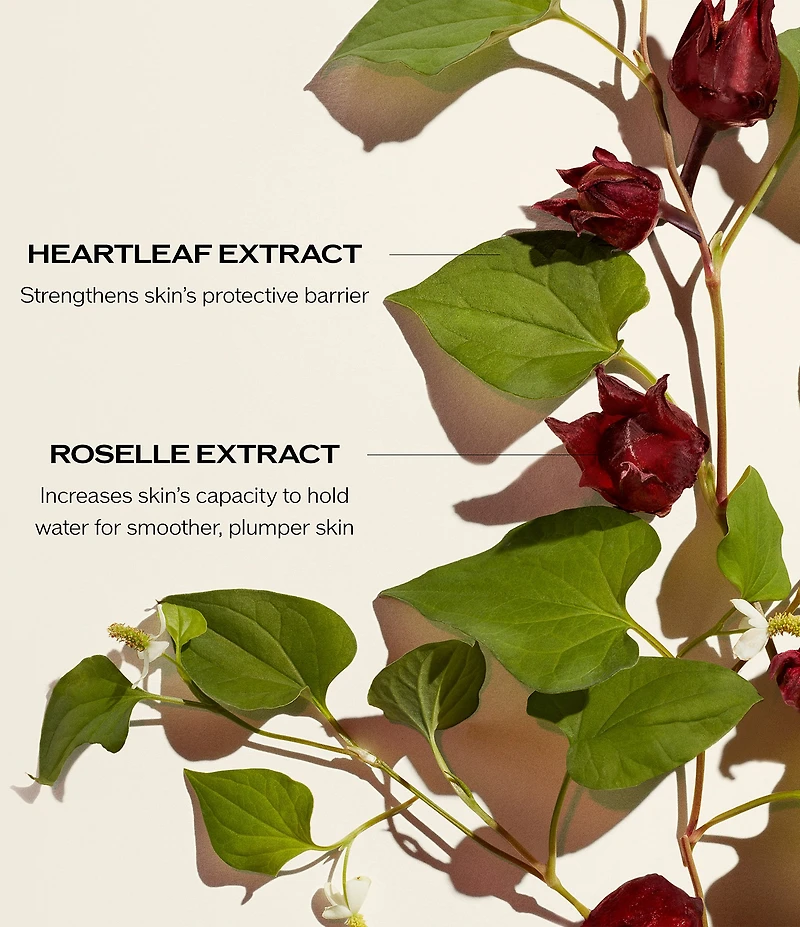 Shiseido Radiance & Resilience Ritual Set