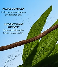 Shiseido Ultimate Sun Protector Lotion SPF 60+