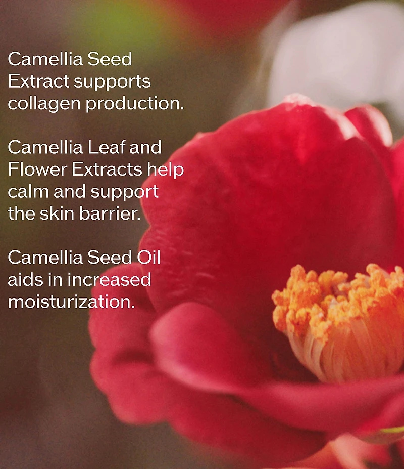 Shiseido Ultimune Power Infusing Serum - Refill