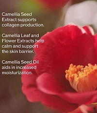 Shiseido Ultimune Power Infusing Serum - Refill