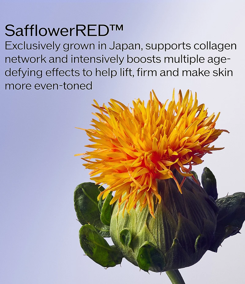 Shiseido Vital Perfection Concentrated Supreme Cream