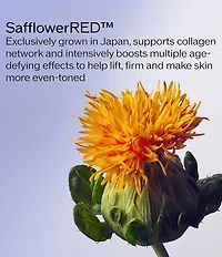 Shiseido Vital Perfection Concentrated Supreme Cream