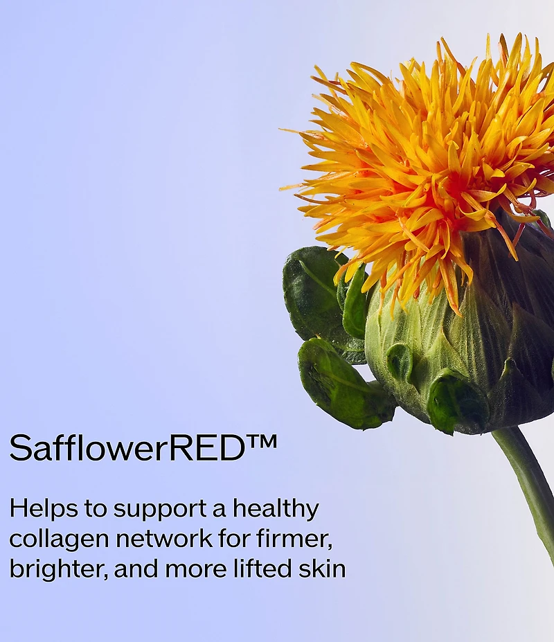 Shiseido Vital Perfection Advanced Day Refillable Cream SPF 30