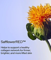 Shiseido Vital Perfection Advanced Day Refillable Cream SPF 30