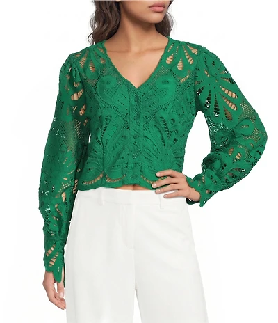 Skies Are Blue All Over Lace V-Neck Long Sleeve Top