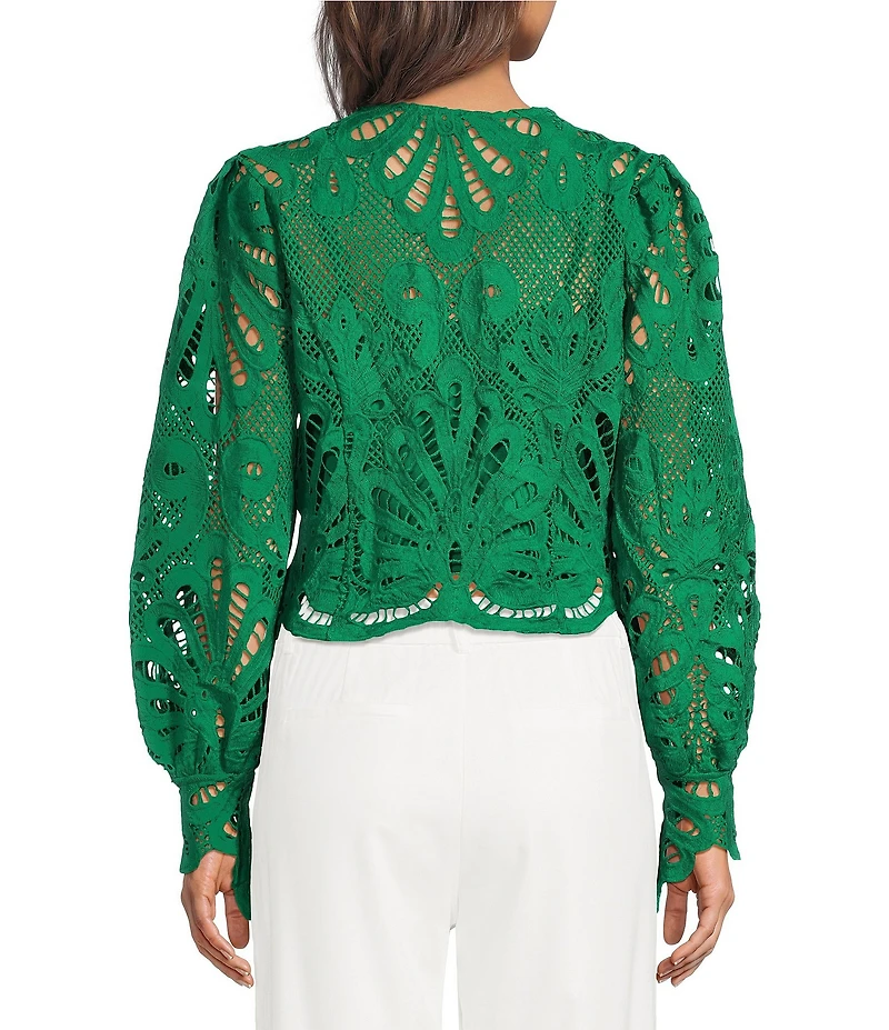 Skies Are Blue All Over Lace V-Neck Long Sleeve Top