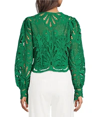 Skies Are Blue All Over Lace V-Neck Long Sleeve Top