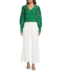 Skies Are Blue All Over Lace V-Neck Long Sleeve Top