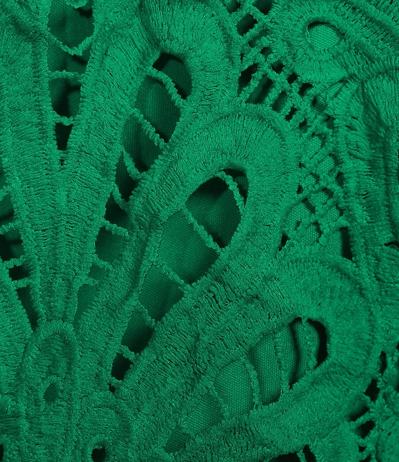 Skies Are Blue All Over Lace V-Neck Long Sleeve Top