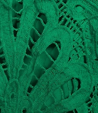 Skies Are Blue All Over Lace V-Neck Long Sleeve Top