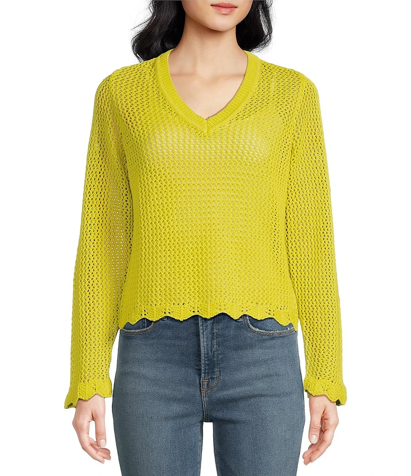 Skies Are Blue Crochet V-Neck Long Sleeve Scallop Hem Top