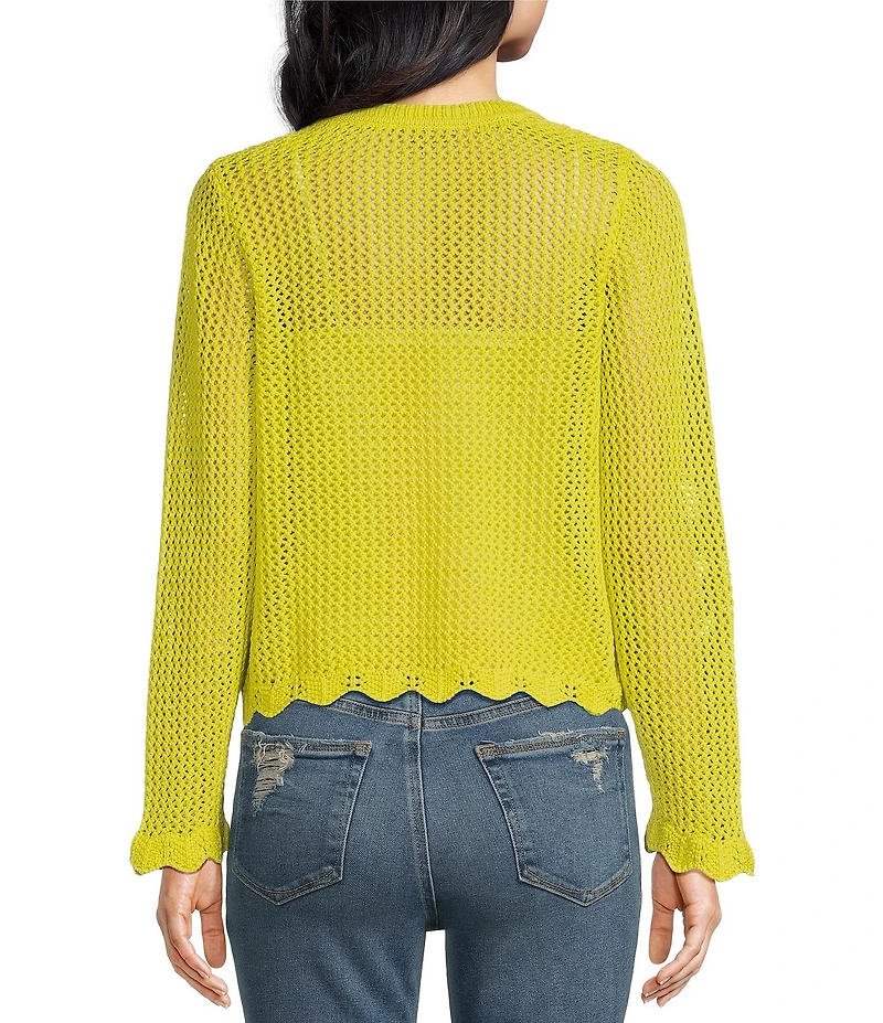 Skies Are Blue Crochet V-Neck Long Sleeve Scallop Hem Top