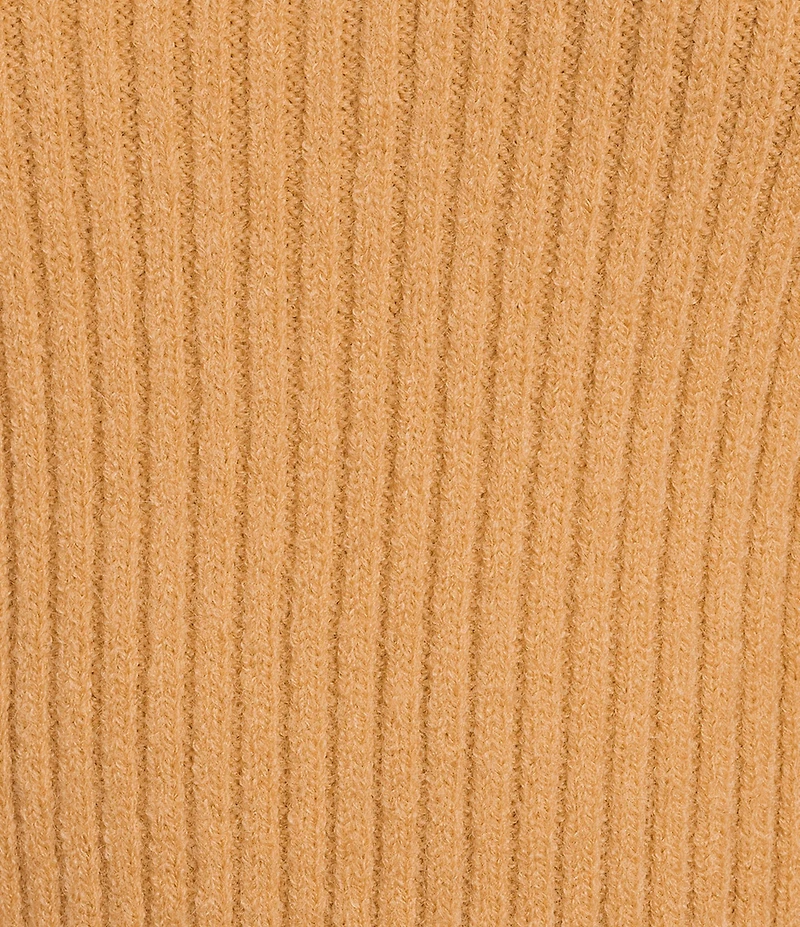 Skies Are Blue Mock Neck Long Sleeve Feather Fringe Sweater