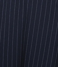 Skies Are Blue Plus Size Pinstripe A-Line Mini Skirt