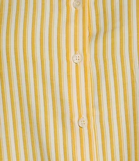 Skies Are Blue Plus Striped Long Sleeve Button Front Woven Coordinating Blouse