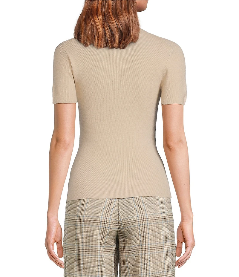 Skies Are Blue Soft Knit Mock Neck Short Sleeve Sweater Top