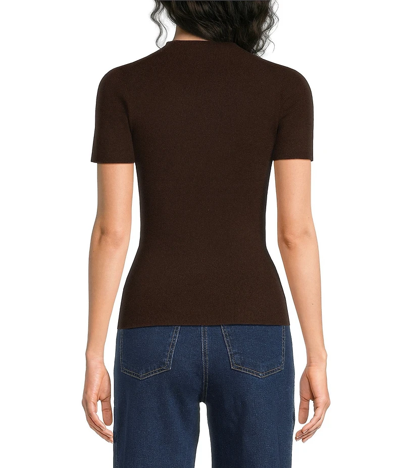 Skies Are Blue Soft Knit Mock Neck Short Sleeve Sweater Top