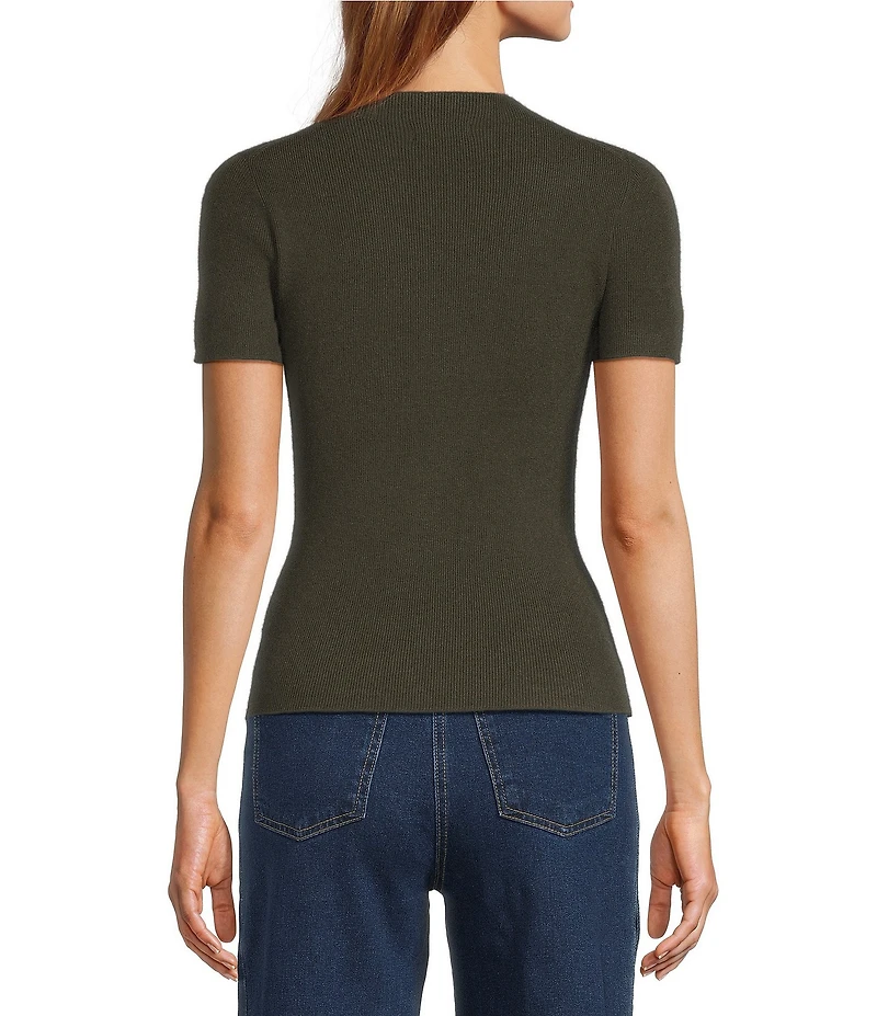 Skies Are Blue Soft Knit Mock Neck Short Sleeve Sweater Top