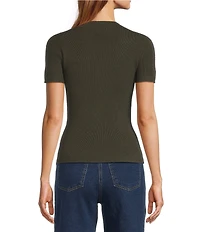 Skies Are Blue Soft Knit Mock Neck Short Sleeve Sweater Top