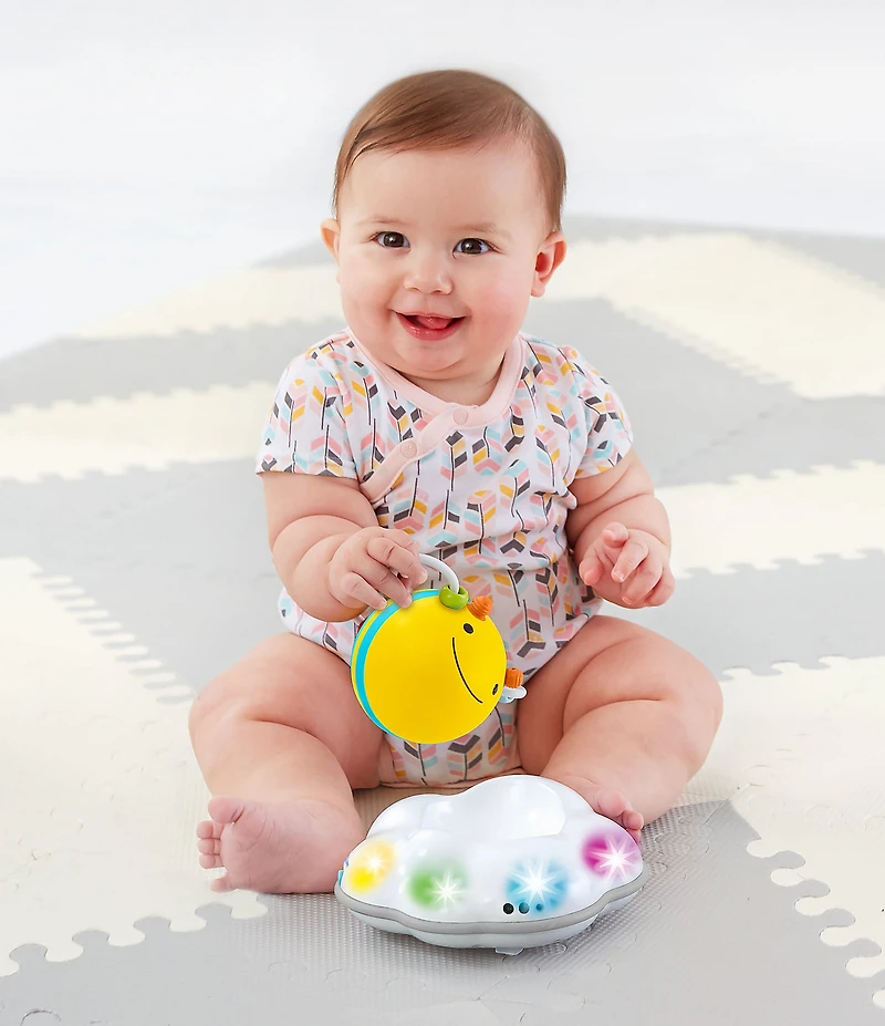 Skip Hop Musical Bee Crawl Toy