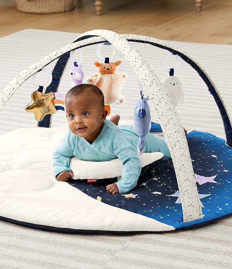 Skip Hop Celestial Dreams Activity Gym